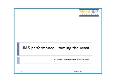 Virtual IMS - IMS Performance - Taming the Beast